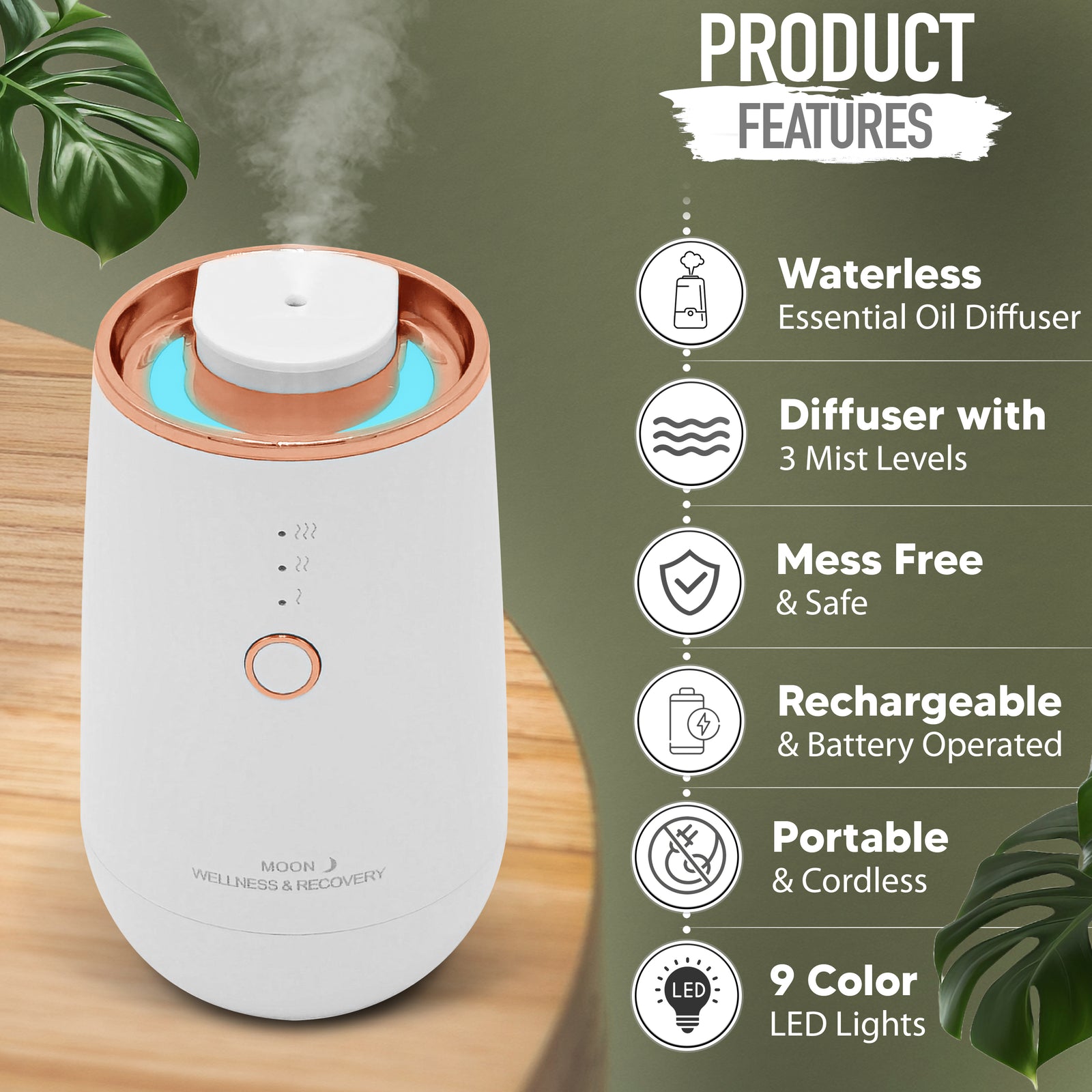 image 3 (2).jpg__PID:cccbdf44-ceab-4615-8b32-38769ff58641